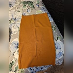 Eva Mendes Pencil Skirt